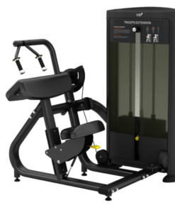 FS28 45 Degree Triceps Extension