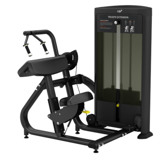 FS28 45 Degree Triceps Extension