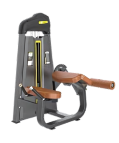 F01 Prone Leg Curl