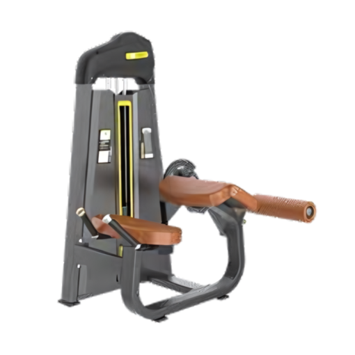 F01 Prone Leg Curl