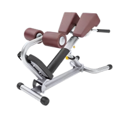 AN73 Adjustable Roman Chair