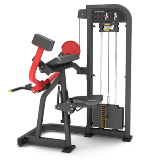 FM09 Biceps Curl