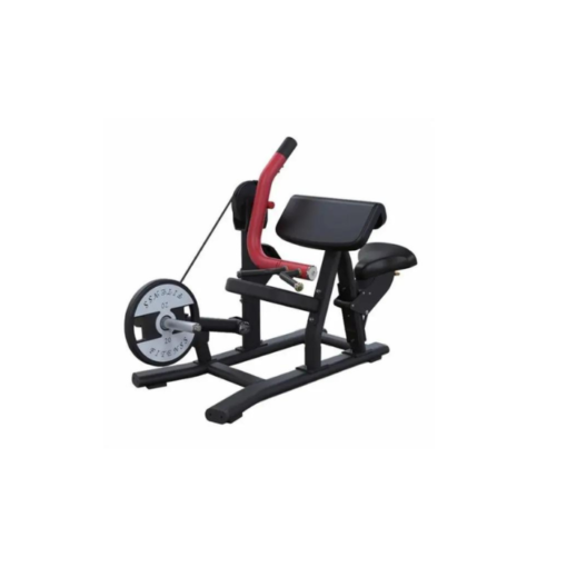 PL05 Biceps Curl