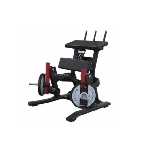 PL09 Leg Curl