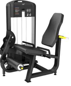 FB02 Leg Extension