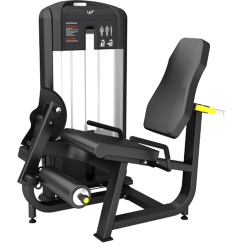 FB02 Leg Extension