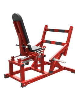 HA24 Seated Calf