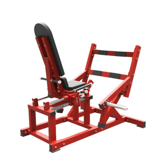 HA24 Seated Calf