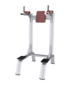 AN58 Vertical Knee Chin/Up