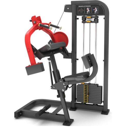FM10 Seated Triceps