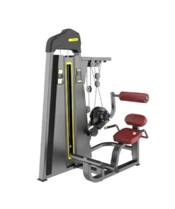 F85 Abdominal / Back Extension