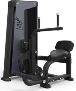 FH85 Abdominal/Back Extension