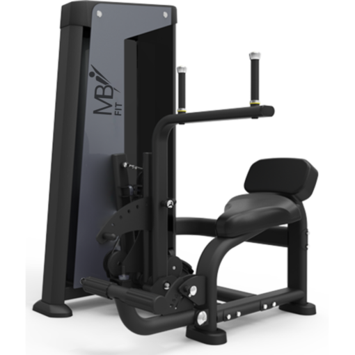 FH85 Abdominal/Back Extension