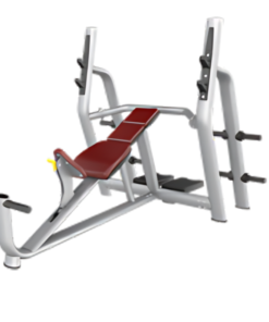 AN59 Incline Bench (Luxury)
