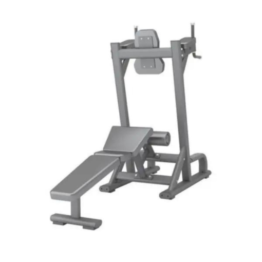 PL35 Abdominal & Knee Up/Dip