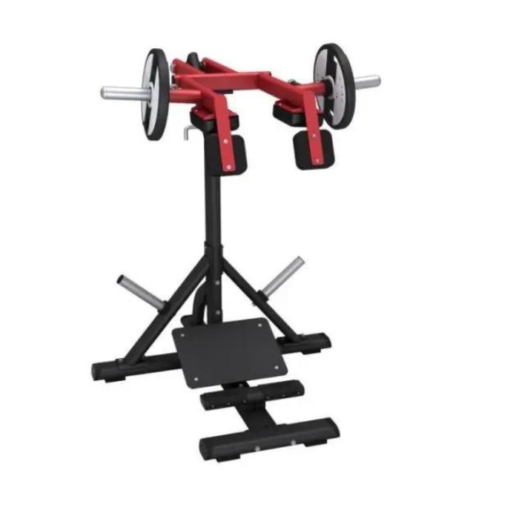 PL27 Standing Calf