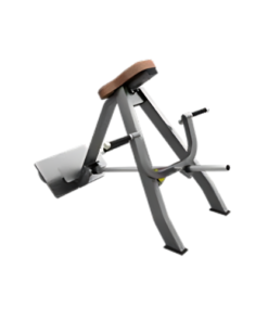 F61 Incline Level Row