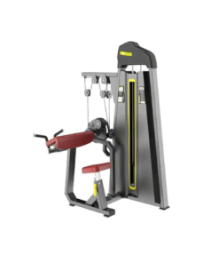F86 Biceps / Triceps
