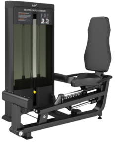 FD93 Seated Calf