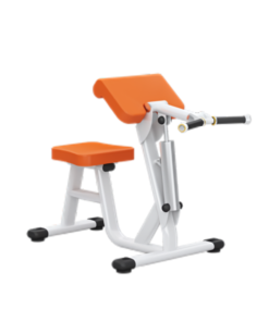H04 Biceps Curl/ Triceps Extention