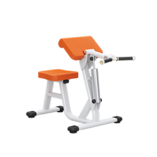 H04 Biceps Curl/ Triceps Extention