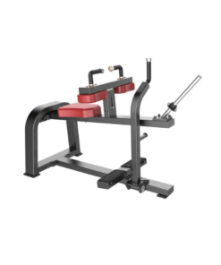 F62 Seated Calf