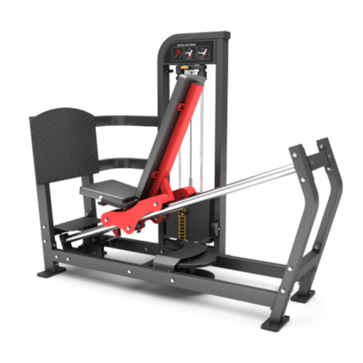 FM12 Leg Press