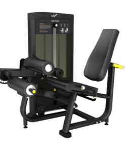 FS23 Leg Curl