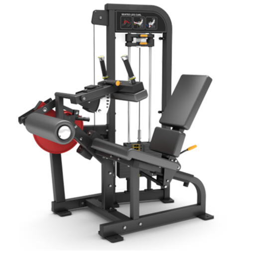 FM14 Leg Curl