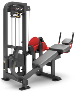 FM22 Abdominal Crunch