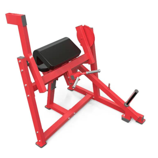 HA29 Seated Biceps