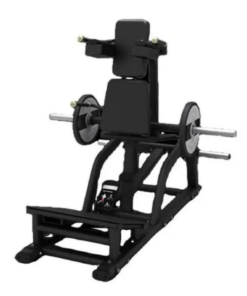 PL31 V- Squat