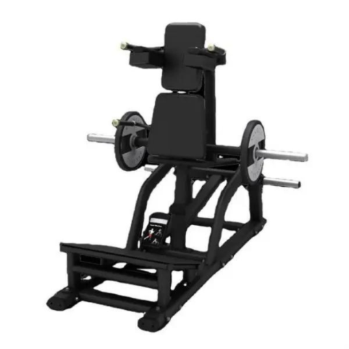 PL31 V- Squat