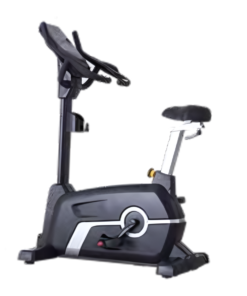 CC10 Upright Bike