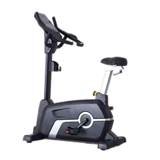 CC10 Upright Bike