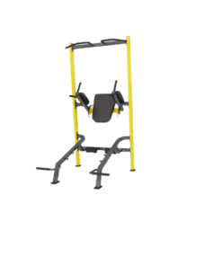 F100 Knee Up Dip/ Pull Up Rack