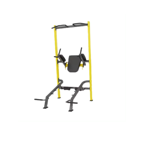 F100 Knee Up Dip/ Pull Up Rack