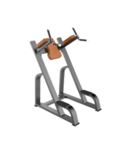 F47 Vertical Knee Up/Dip