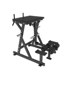 F101 Reverse Hyper Extension