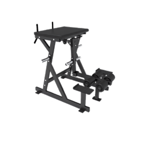 F101 Reverse Hyper Extension