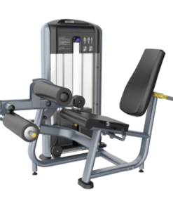 FF23 Leg Curl