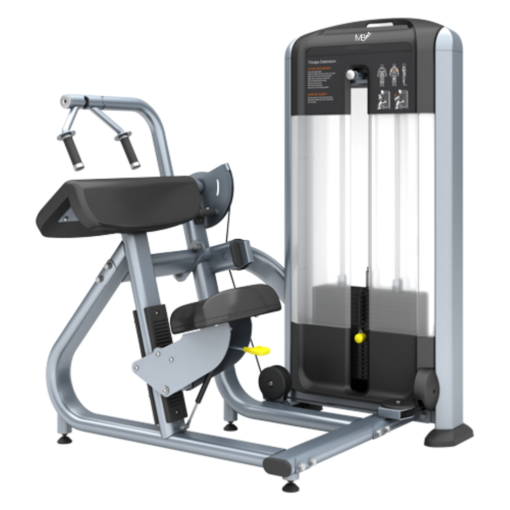 FF28 45 Degree Triceps Extension