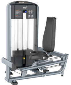 FF93 Seated Calf