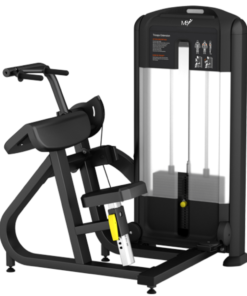 FB28 45 Degree Triceps Extension