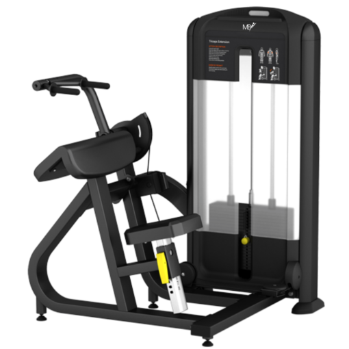 FB28 45 Degree Triceps Extension