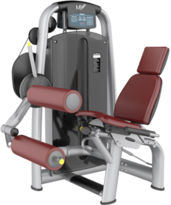 AN24 Seated Leg Curl