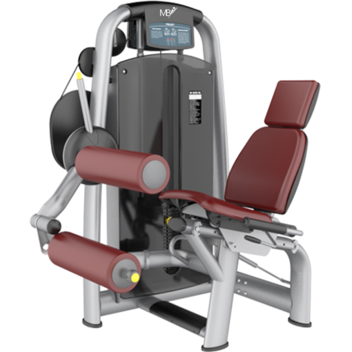 AN24 Seated Leg Curl