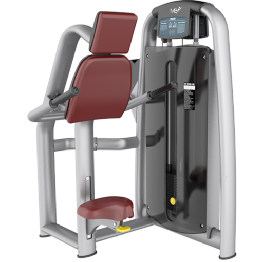 AN49 Triceps Dip