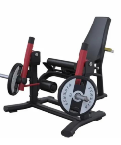 PL10 Leg Extension