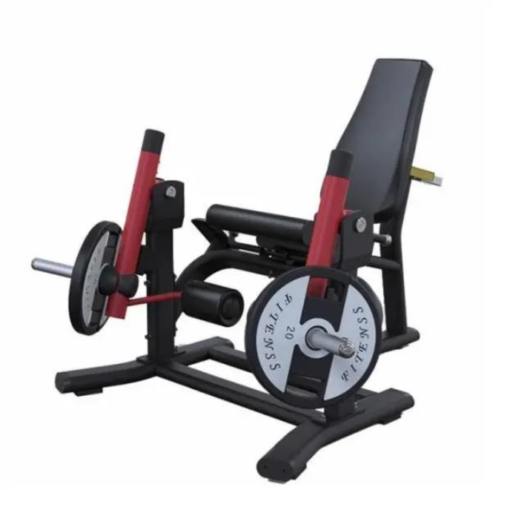 PL10 Leg Extension